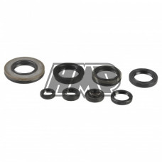 Jogo retentores motor SUZUKI RM 250 2003-2008 - ATHENA